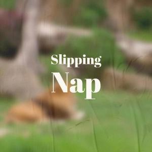 Listen to Slipping Nap song with lyrics from Dams Andrra