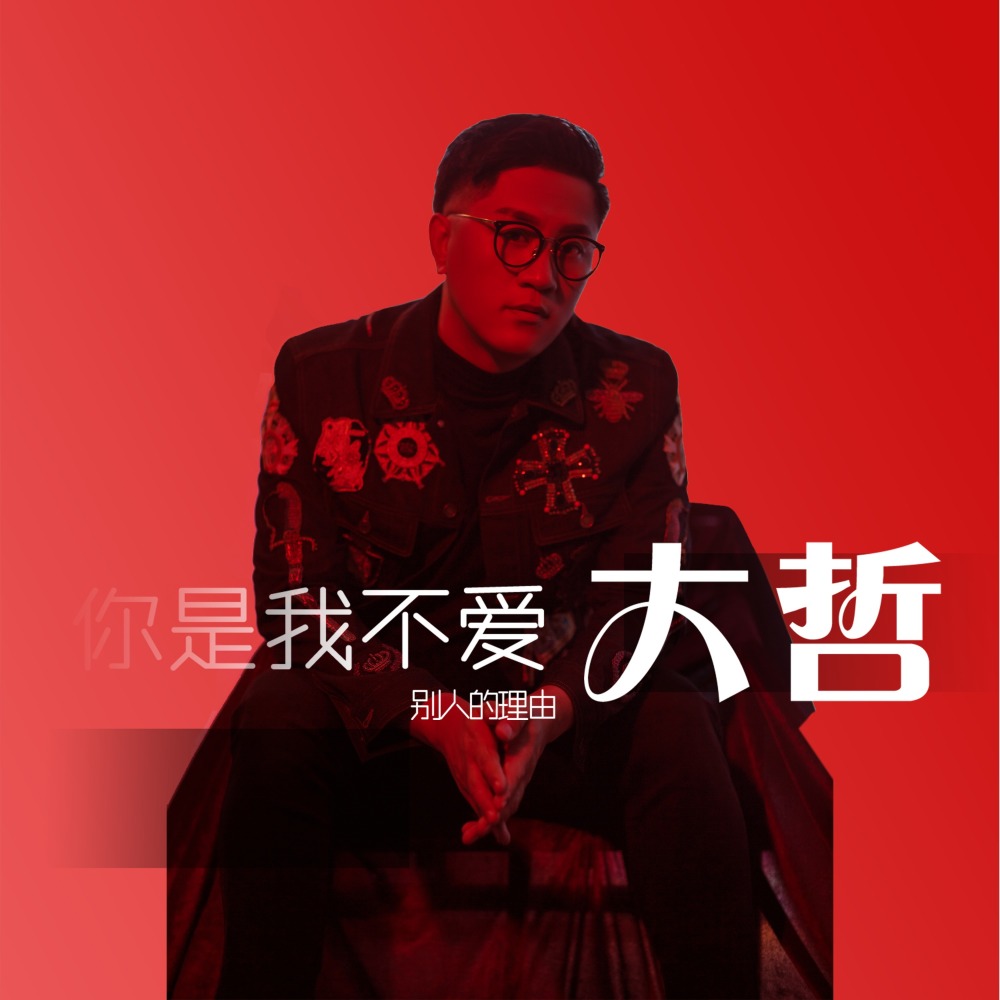 你是我不爱别人的理由 (DJ阿远版伴奏)