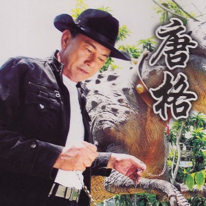 Listen to 爱你一万年多一天 song with lyrics from 唐格