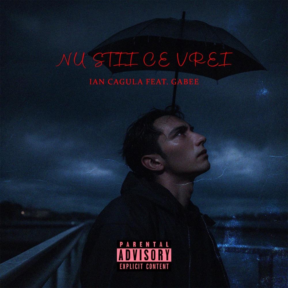 Nu Sti Ce Vrei (feat. GaBee) (Explicit)