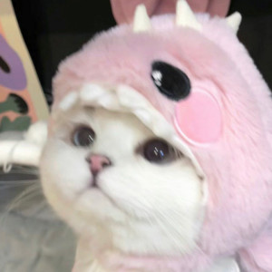 Dengarkan lagu Love defendant nyanyian PA!NX dengan lirik