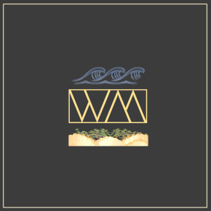 Album Tidal Wave from Snowmine