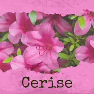 Listen to Cerise song with lyrics from Dita Bettan