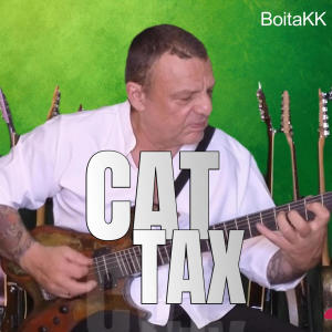 Hervé Senni的专辑Cat Tax