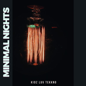 Album Minimal Nights from Various Artists