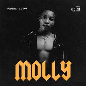 Album Molly (Explicit) from WonderBowy