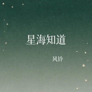 Album 锥心的痛 from 风铃