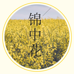 Album 锦中花 from 赵一霖