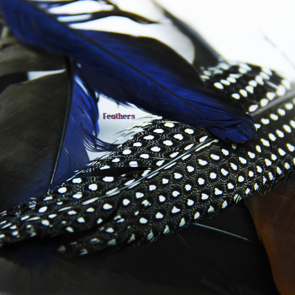 Feathers