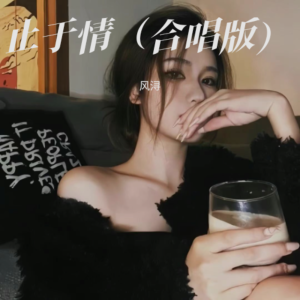 风浔的专辑止于情（合唱版）