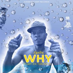 jussbusscamp records的专辑Why D cat in the rain (feat. Gully Musiq)