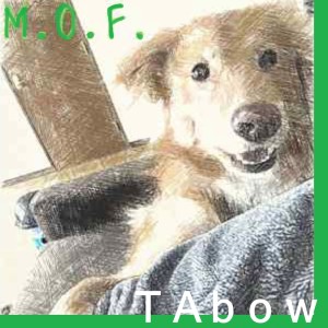 ดาวน์โหลดและฟังเพลง fishing พร้อมเนื้อเพลงจาก M.O.F.