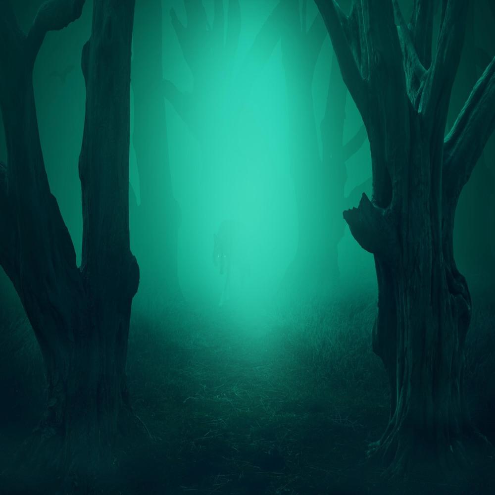 There's SOMETHING Out There!