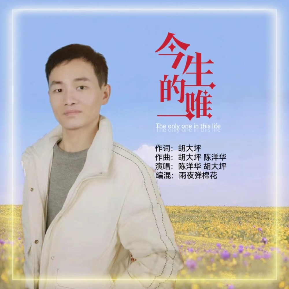 今生唯一（陈洋华：真情版） (完整版)
