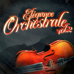 อัลบัม Elégance orchestrale Vol. 2: Les grands classiques par un orchestre symphonique ศิลปิน The Mantovani Orchestra
