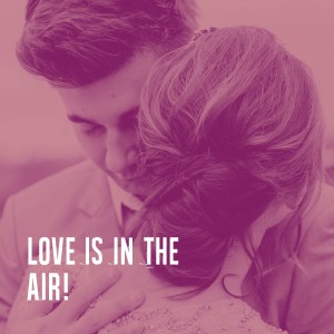 อัลบัม Love Is in the Air! ศิลปิน 2015 Love Songs