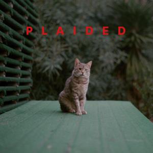 Album Playdate oleh Plaided