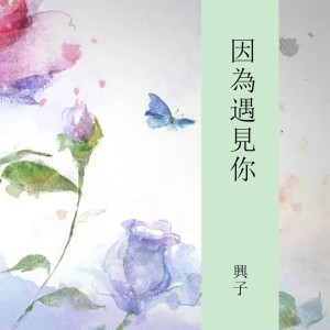 Album 因为遇见你 from 兴子