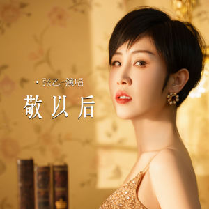 Album 敬以后 from 张乙