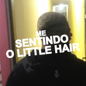收聽LD OFICIAL99的Me Sentindo o Little Hair歌詞歌曲