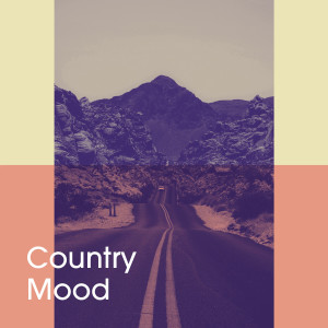 Album Country Mood from The Country Dance Kings