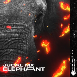 JUCAL Mx的專輯Elephant