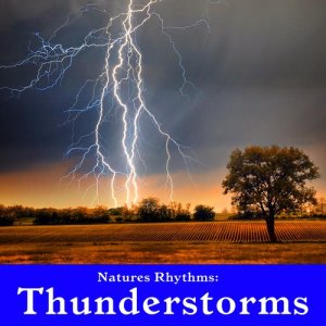 ดาวน์โหลดและฟังเพลง Thunderstorm with Light Rain for Yoga Meditation and Total Peace พร้อมเนื้อเพลงจาก Wildlife Bill