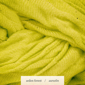 ดาวน์โหลดและฟังเพลง Alabaster พร้อมเนื้อเพลงจาก Arden Forest