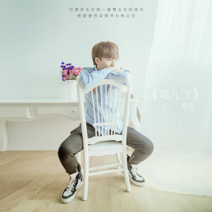 收聽趙哲的鳥兒飛歌詞歌曲