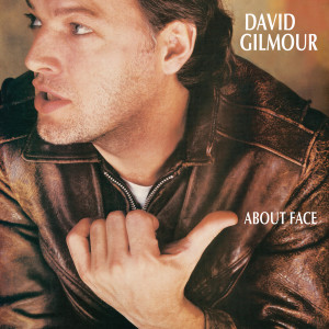 收聽David Gilmour的Let's Get Metaphysical (Album Version)歌詞歌曲