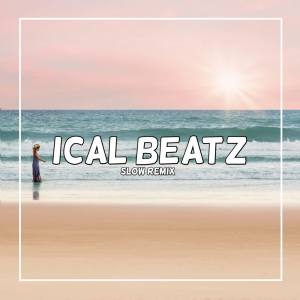 ICAL BEATZ的专辑Dj Stay Young (Slow Remix)