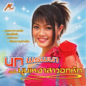 ดาวน์โหลดและฟังเพลง คนคั่นเวลา พร้อมเนื้อเพลงจาก นก พรพนา