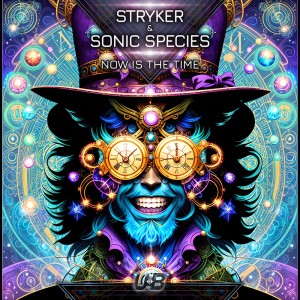 Album Now Is the Time (Explicit) oleh Stryker