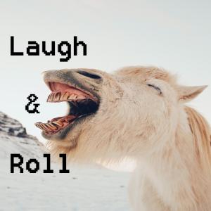 Listen to Laugh & Roll song with lyrics from DJ Dani
