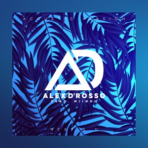 Listen to Next 2 U (Acoustic Version) song with lyrics from Alex D'rosso