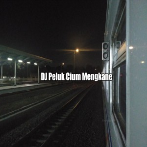 Dengarkan lagu DJ Peluk Cium Mengkane nyanyian Indra cdm dengan lirik