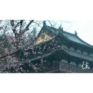 Listen to 往 (完整版) song with lyrics from Dyaphvk