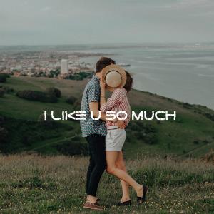 Album DJ I Like You So Much from DJ FUNKOT