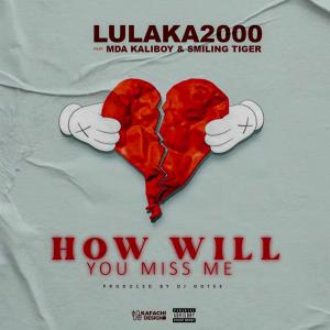 lulaka2000的專輯How Will You Miss Me (feat. Mda Kaliboy & Smiling Tiger) [Explicit]