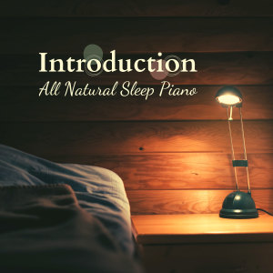 Listen to The Keys to the Mind song with lyrics from Relaxing BGM Project