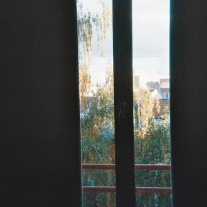 收聽Damna的False Ballad歌詞歌曲