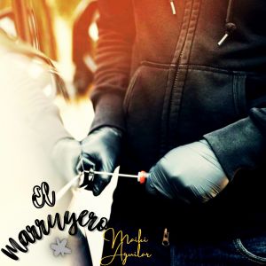 Listen to El Marruyero (Explicit) song with lyrics from Maiki aguilar