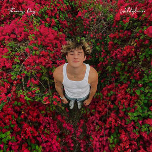 收聽Thomas Day的Wildflower歌詞歌曲
