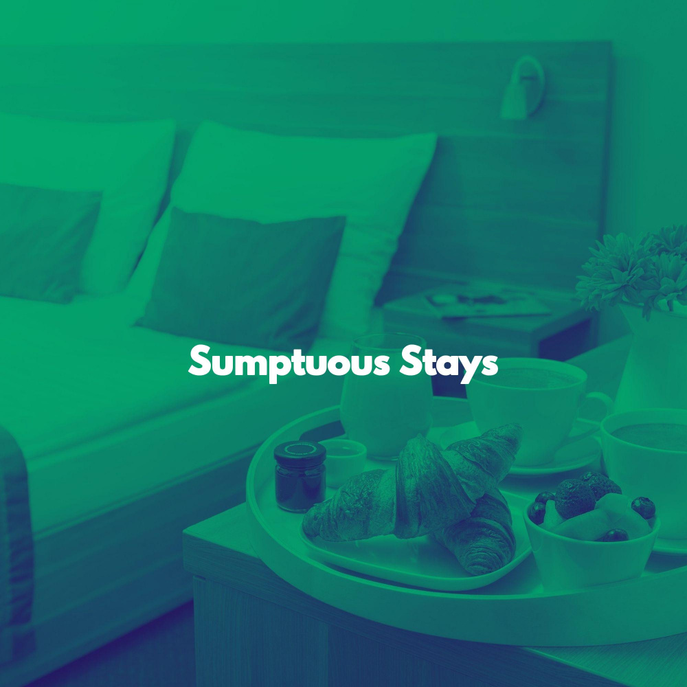 Modern Backdrops for Fun Memories