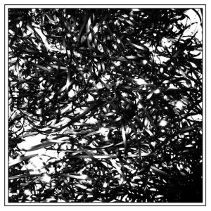 ดาวน์โหลดและฟังเพลง intro (Explicit) พร้อมเนื้อเพลงจาก clipping.