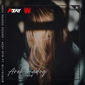Dengarkan Arek Madog Sound (feat. Wilfexbor) lagu dari Azay DTM dengan lirik