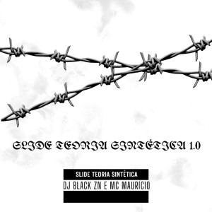 收听DJ BLACK ZN的Slide Teoria Sintética 1 (Explicit)歌词歌曲