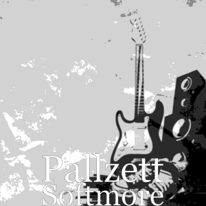 Listen to Elect (Explicit) song with lyrics from Pallzett
