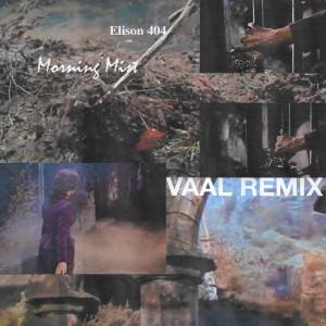 收聽Elison 404的Morning Mist (Vaal Remix|Explicit)歌詞歌曲