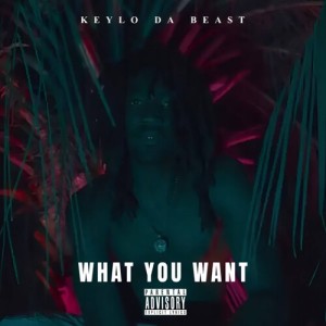 Album What You Want (Explicit) from KEYLO DA BEAST
